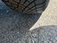 Immagine 29