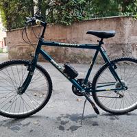 Bicicletta Mountain Bike