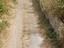 Immagine 6