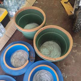 Palamiti saraghi/ orate.  Dentice