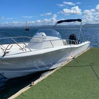 White Shark 228 Walk Around - Mercury Verado 300