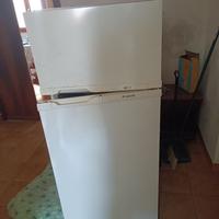 Frigo con freezer