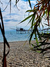 Monolocale a due passi dal mare