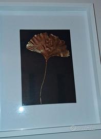 quadretto soggetto Ginko Biloba
