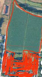 Terreno agricolo 2 ettari