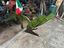 Immagine 3