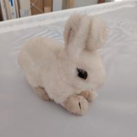 Peluche coniglio