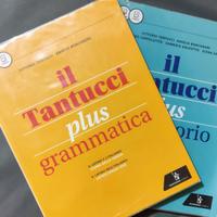 Il Tantucci Plus Grammatica - laboratorio
