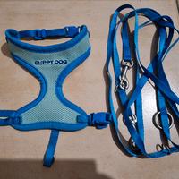 Pettorina in Rete e Guinzaglio