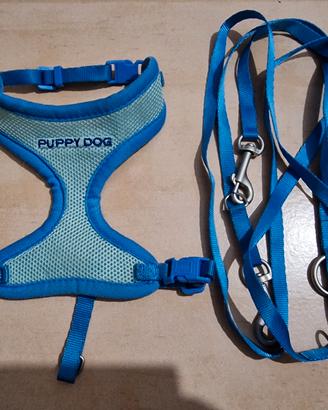 Pettorina in Rete e Guinzaglio