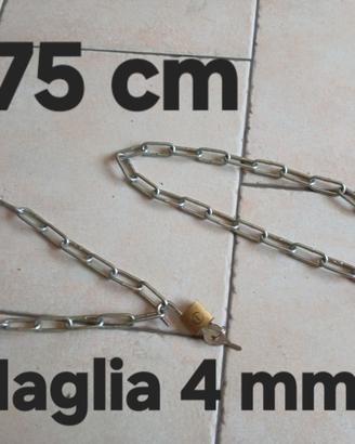 🔓Lucchetti + catene fai da te