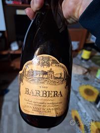 Vino Barbera annate 1970-1973