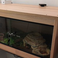 Pitone Reale+ Terrario