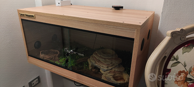 Pitone Reale+ Terrario