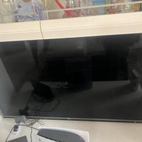 Tv LG 55” NON SI ACCENDE