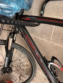 Biciclette lombardo amantea 200