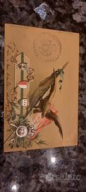 cartolina storica Militare, lotto 472
