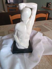 Statua torso maschile porcellana bianca
