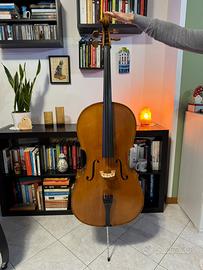 Violoncello