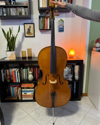 Violoncello