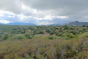 Terreno agricolo a Telti
