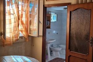 Casa rustica e terreno ( uliveto )