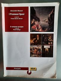 Libro di testo:I promessi sposi 