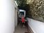 Immagine 11