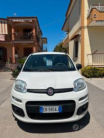 Fiat panda Natural power
