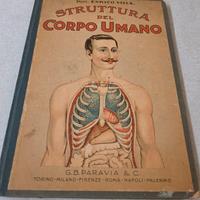 Pubblicazione Paravia sul corpo umano