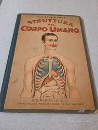 Pubblicazione Paravia sul corpo umano