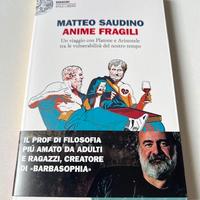 Libro Saudino Anime fragili Nuovo