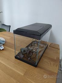 acquario 20 lt