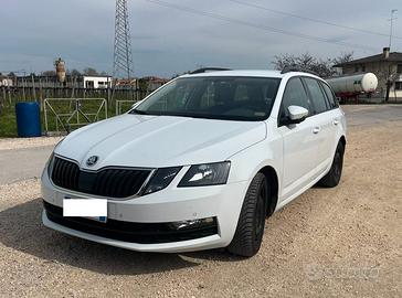 Skoda Octavia Wagon 4x4 150 CV DSG