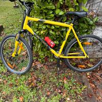 MTB uomo