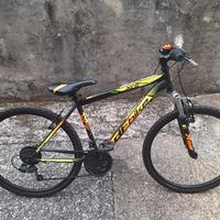 MTB bicicletta