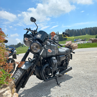 Guzzi v7 III stone. 750cc anno 2020 v7III