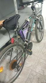 Mountain bike