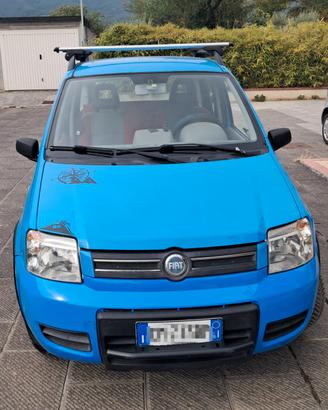 Fiat Panda 4x4 Climbing 1.2 Benzina (2005)