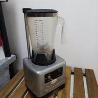 Frullatore professionale 