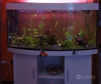 acquario juwel Rio 260 visio