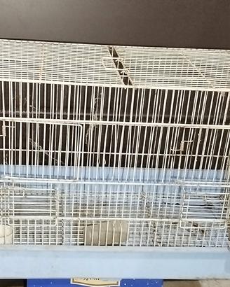 Gabbia uccellini - topolini- rettili ecc