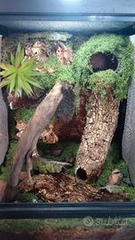 TERRARIO 