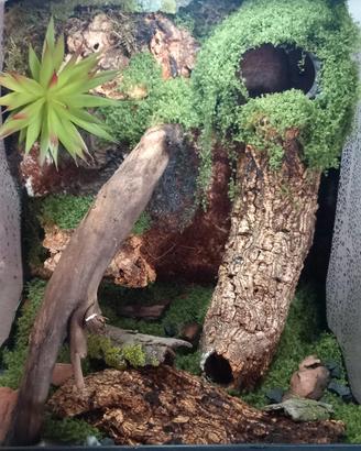 TERRARIO 