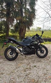 Ninja 500