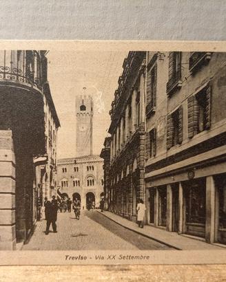 cartolina Treviso 