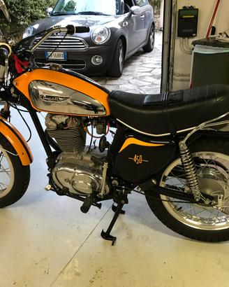 Ducati 450 scrambler 1974