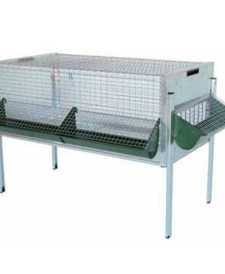 Pulcinaia per Pollastrelli