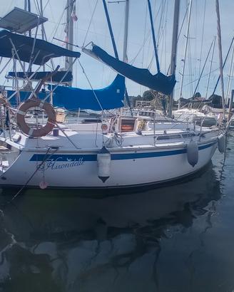 Barca a vela mt.8.80