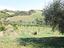 Immagine 22